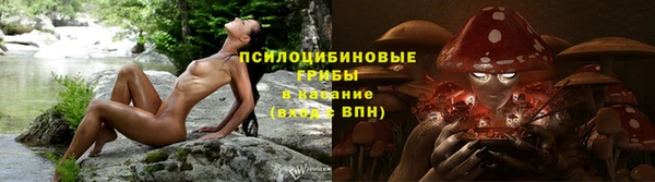 трава Майский