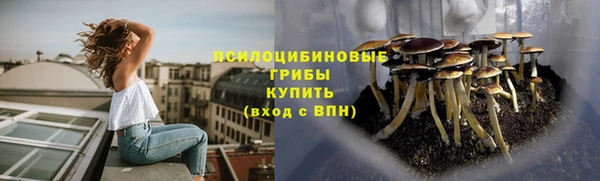 mix Мегион